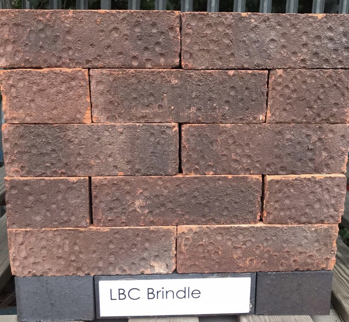 LBC Brindle