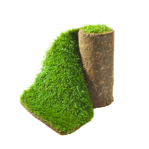 Fresh Garden Turf