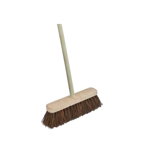 Bassine Sweeping/Brush Broom