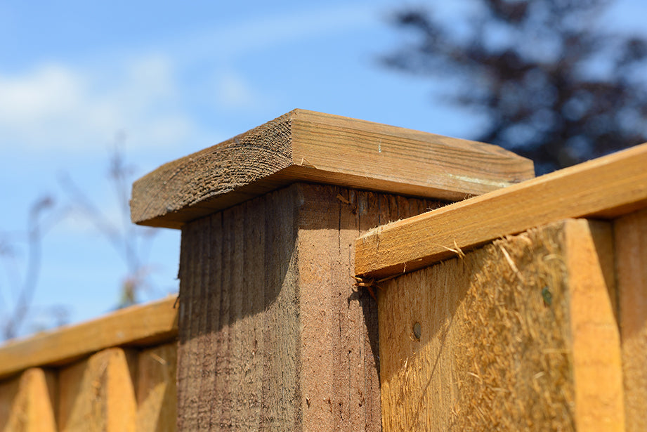 Treated Fence Post Cap