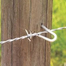 Galvanised Wire Staples