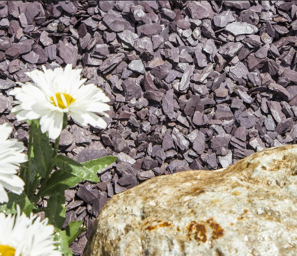 Plum Slate 20mm