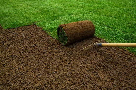 Fresh Turf & Top Soil