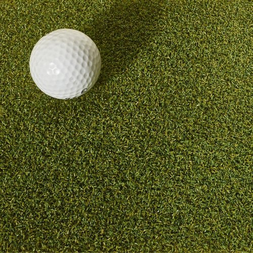 Proline Putting Turf